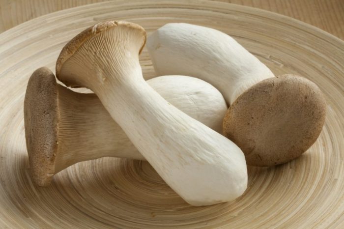 How to cook oyster mushroom in indian style